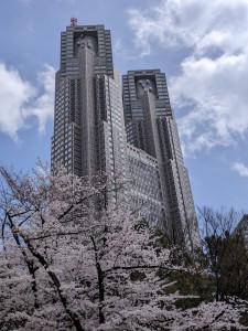 新宿の桜2022-1